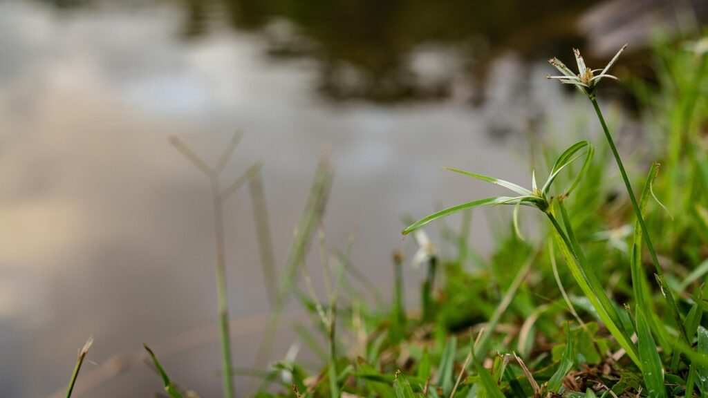 40代のための効果的な自己PRのポイントは？