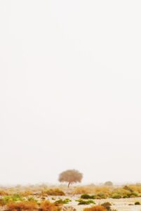 月5万の副業を希望する女性におすすめの仕事は？