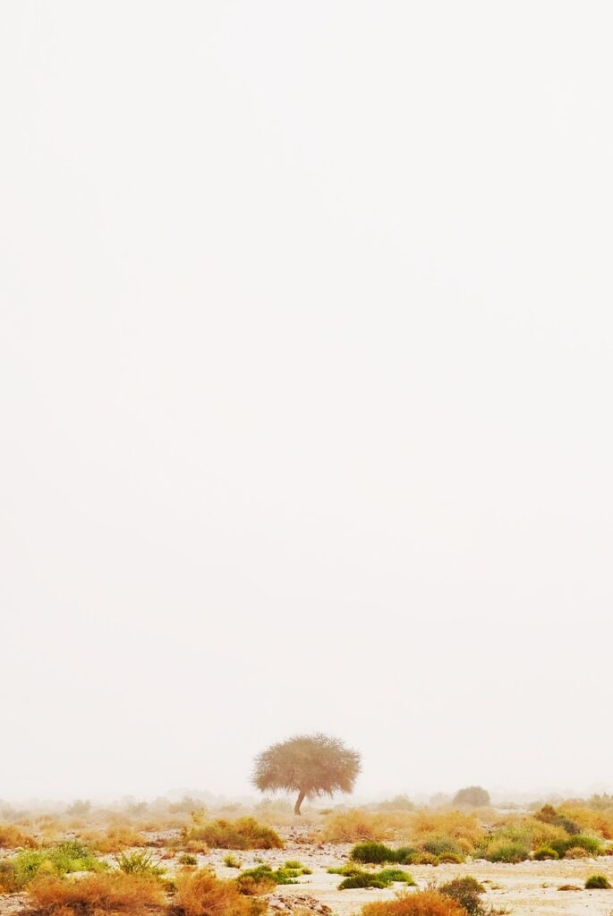 月5万の副業を希望する女性におすすめの仕事は？