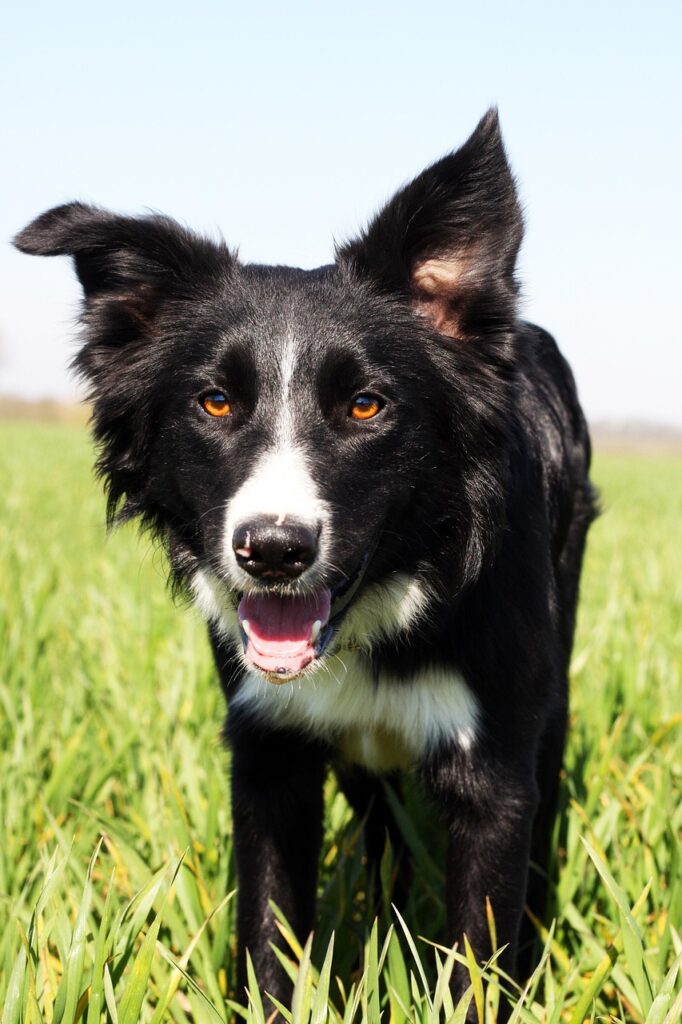 主婦が働きやすい仕事を見つけるためのポイントは？