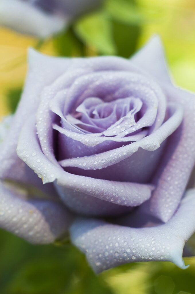 月2万の副業をしたい主婦におすすめの方法は？