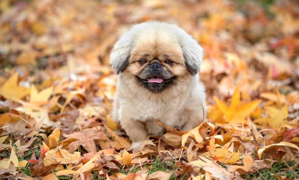 一人暮らしを支える40代向けの手当にはどんなものがある？