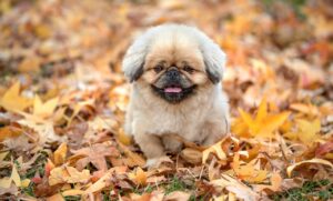 一人暮らしを支える40代向けの手当にはどんなものがある？